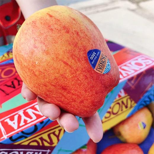 【新西兰Sonya苹果】15粒/礼盒，脆甜爽口 商品图5