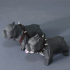 「景德镇简约现代创意恶霸犬摆件」仿真工艺品雕塑 办公室客厅艺术品 商品缩略图2