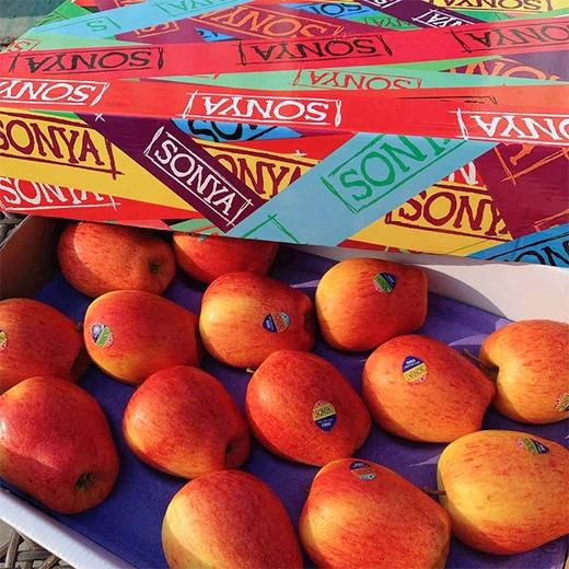 【新西兰Sonya苹果】15粒/礼盒，脆甜爽口 商品图7