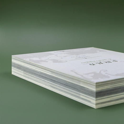 《卡拉瓦乔》（裸脊版）天才与悲剧、狂暴与鲜血，巴洛克艺术的奠基人卡拉瓦乔 商品图6