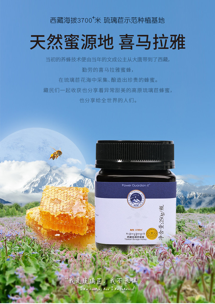 高原蓝琉璃苣蜂蜜250g