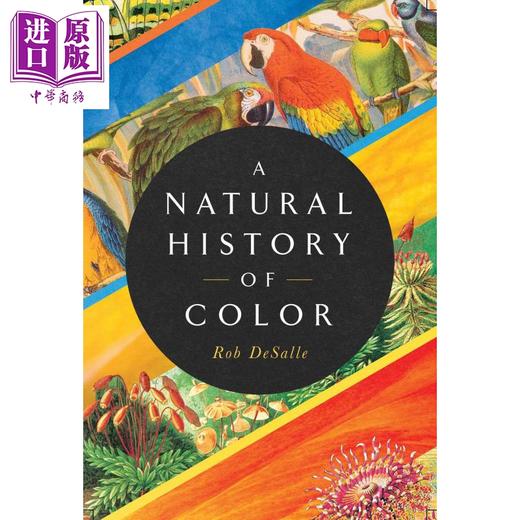 【中商原版】顏色的自然史 英文原版 a natural history of color rob