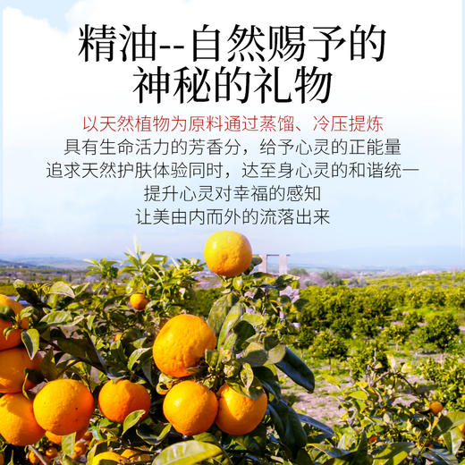 【双12大促】嘉媚乐葡萄柚精油  控油收缩毛孔  轻盈嘭弹 润肌嫩肤  单方精油 商品图1