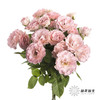多头玫瑰 | 人鱼公主 商品缩略图3
