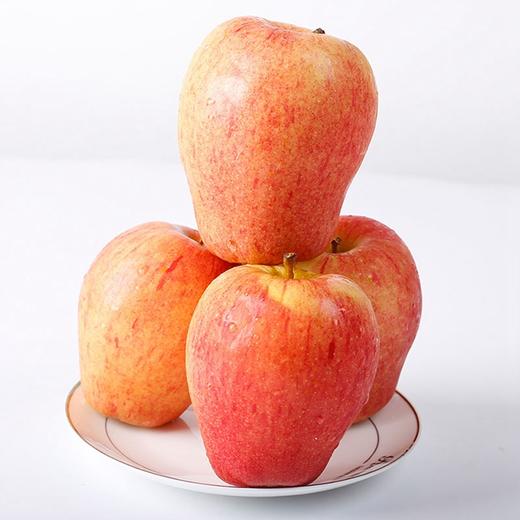 【新西兰Sonya苹果】15粒/礼盒，脆甜爽口 商品图1