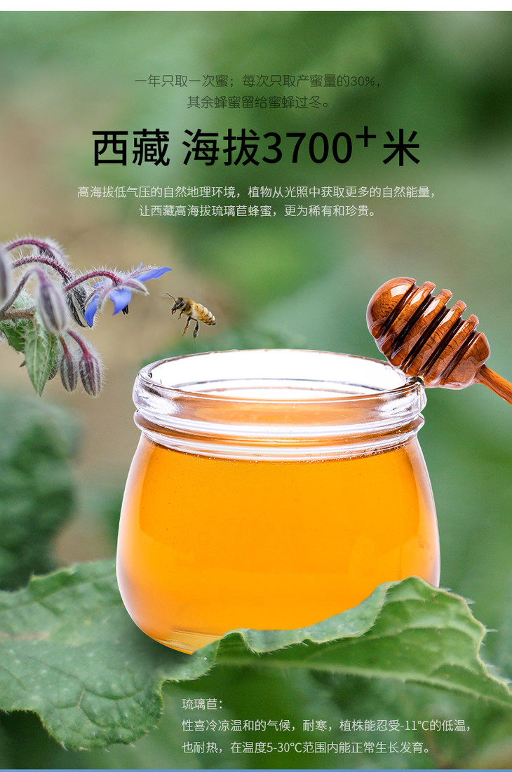 高原蓝琉璃苣蜂蜜250g