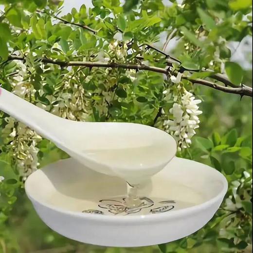 野生水白槐花蜜 高纯度 高浓度 像水一样 500g*2瓶 送半斤 商品图2
