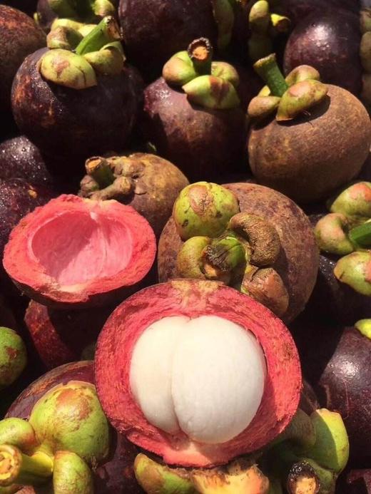 5a大山竹麻竹500克左右