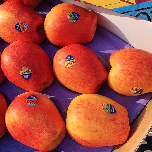 【新西兰Sonya苹果】15粒/礼盒，脆甜爽口 商品图6