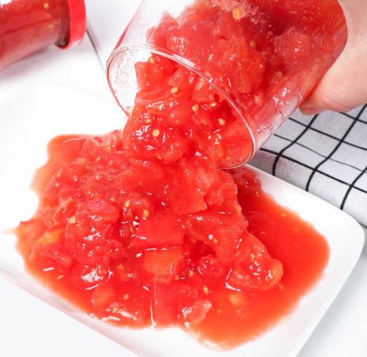 新康番茄块番茄酱去皮无添加农业番茄丁组合装做菜辅料源自新疆特产