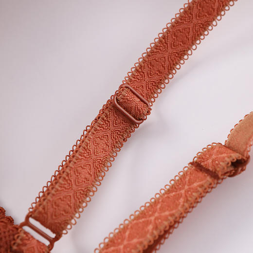 【金三塔】真丝蕾丝美背无钢圈文胸 商品图14