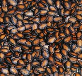 旭东话梅西瓜子