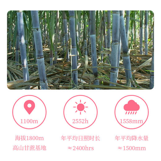 【一座保山】保山昌 宁幸福红糖 520g/袋 商品图4