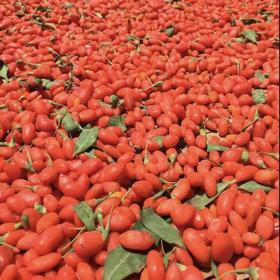 甘肃红枸杞 宁杞一号 250g/罐*2