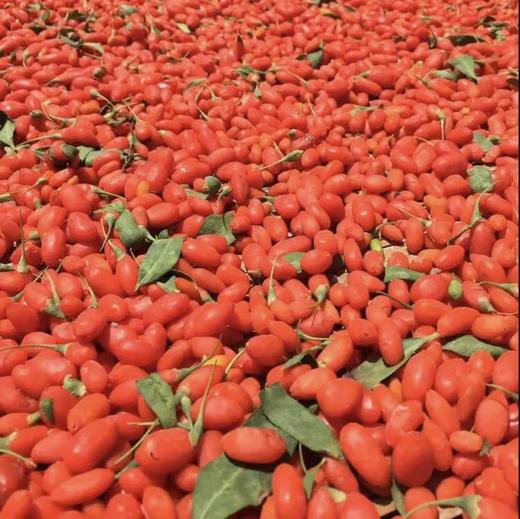 甘肃红枸杞 宁杞一号 250g/罐*2 商品图0