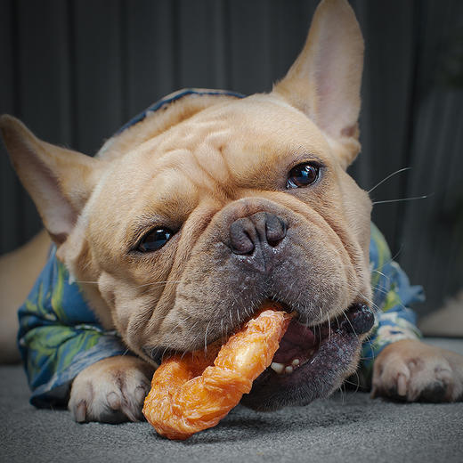 尾巴先生磨牙棒缠肉牛皮卷耐咬狗零食金毛萨摩耶大型中型犬补钙