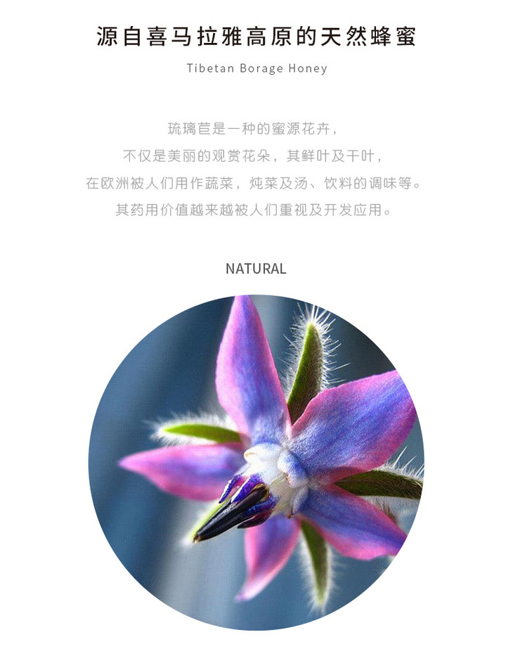 高原蓝琉璃苣蜂蜜250g