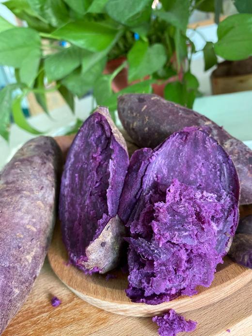 高山紫蜜薯 来自粤北地区的馈赠佳品 