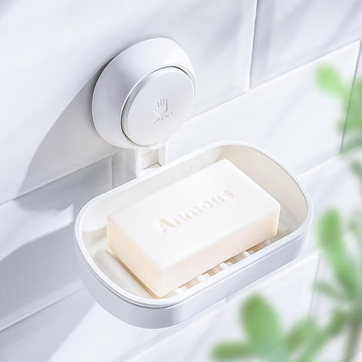 太力单层肥皂盒 商品图0