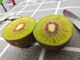 品质四川都江堰红心猕猴桃  每组15个 约3斤包邮