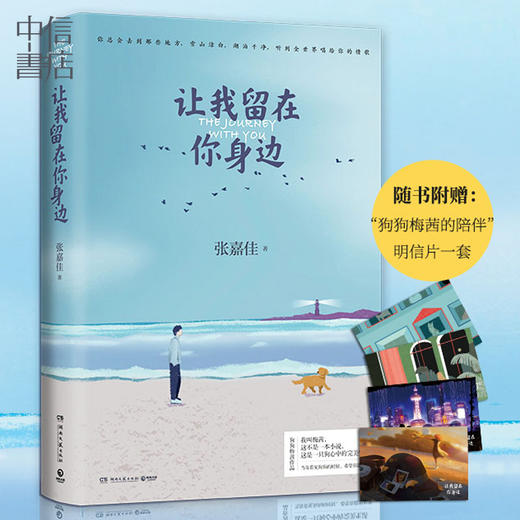 让我留在你身边 张嘉佳 著 以狗狗梅茜的视角创作的暖心故事集多幅剧情版精美插图青春文学 赠明信片 商品图1