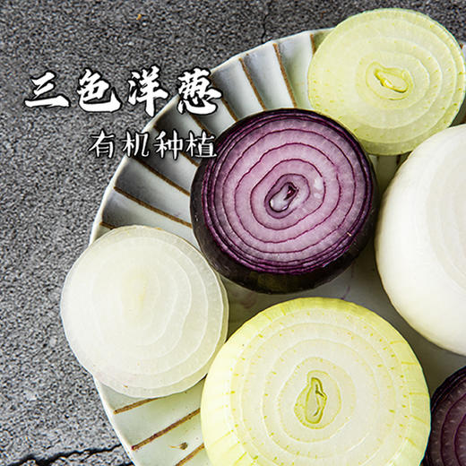 【有机三色洋葱】有机种植   净重5斤左右  产地新疆 商品图3