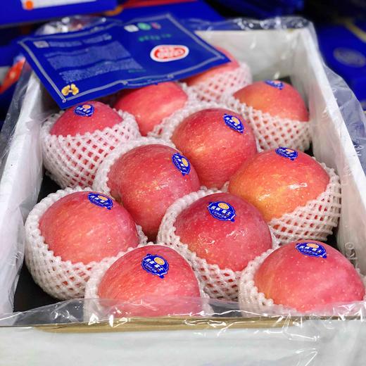 【喜多果】喜多果，优森红富士苹果，色泽鲜艳，个头匀称，口感脆甜爽口，送礼自吃！ 商品图11