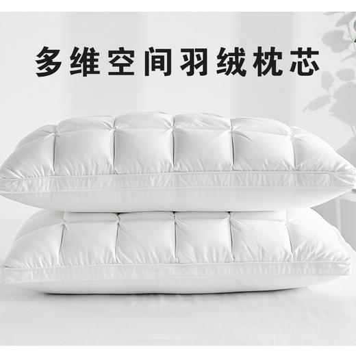 羽绒枕95白鹅绒枕头家用枕芯100支全棉LQ005-3XL-B-ZX 商品图0