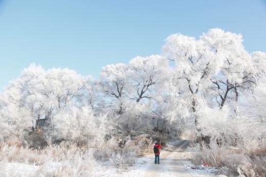 【东北冰雪恋歌A】长白岛、雾凇岛、魔界、雪岭、十五道沟、松岭雪村8天深度摄影 商品图8