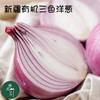【有机三色洋葱】有机种植   净重5斤左右  产地新疆 商品缩略图2