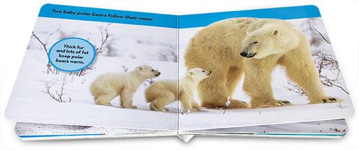 【国家地理少儿系列】英文原版 National Geographic Kids Look and Learn Bedtime 纸板书儿童百科书 商品图2