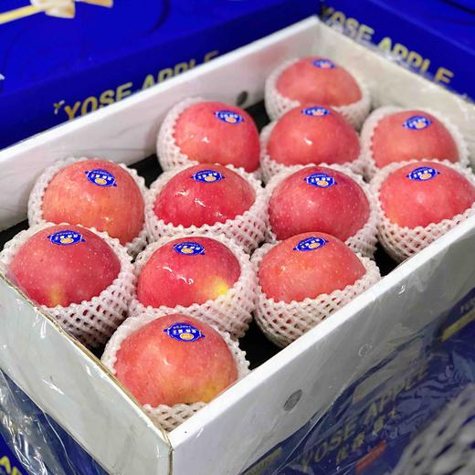 【喜多果】喜多果，优森红富士苹果，色泽鲜艳，个头匀称，口感脆甜爽口，送礼自吃！ 商品图0