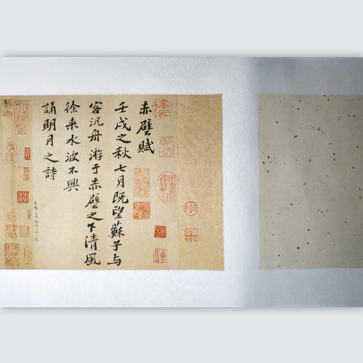 【鹅毛肆】苏轼《赤壁赋》长卷 商品图2