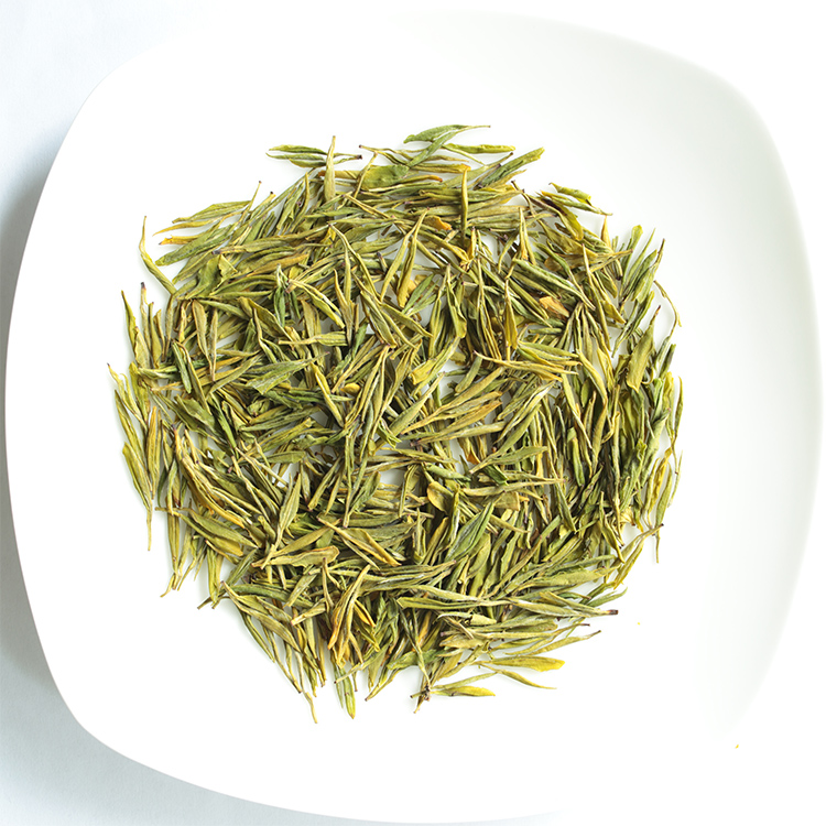 黄茶中黄1号黄金芽黄金叶