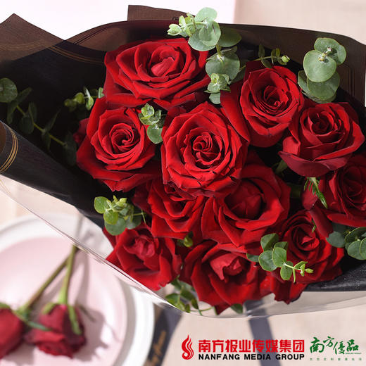 心跳 11枝红玫瑰花束 不含花瓶（72小时内发货） 商品图2