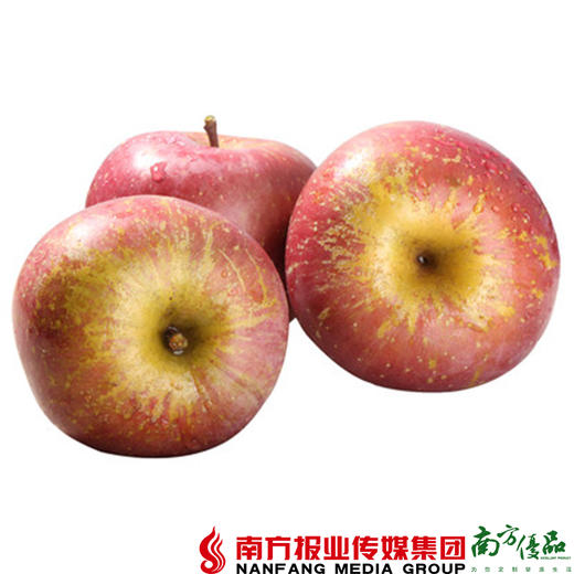 【珠三角包邮】云南野生丑苹果（含箱毛重） 7斤±3两/箱（9月28日到货） 商品图0