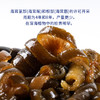 海茸丝干货100g新鲜海松茸海茸海龙筋凉拌菜海藻菜干货非即食 商品缩略图2