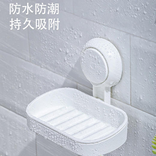 太力单层肥皂盒 商品图3