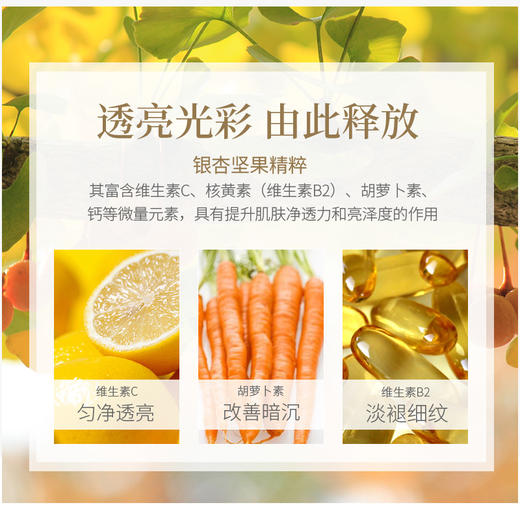 【双12大促】嘉媚乐银杏果净澈透亮活能水  提亮肤色  温和透彻  深入补水 商品图2