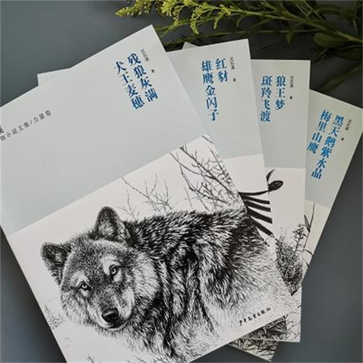 沈石溪臻奇动物小说文集/力量卷 残狼灰满 犬王麦穗 商品图2