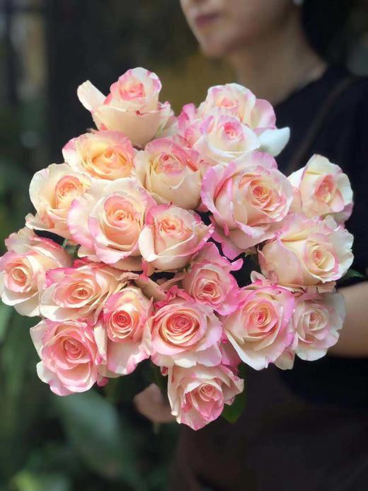 方德玫瑰霓裳70cm左右10支装超长花期质量保证