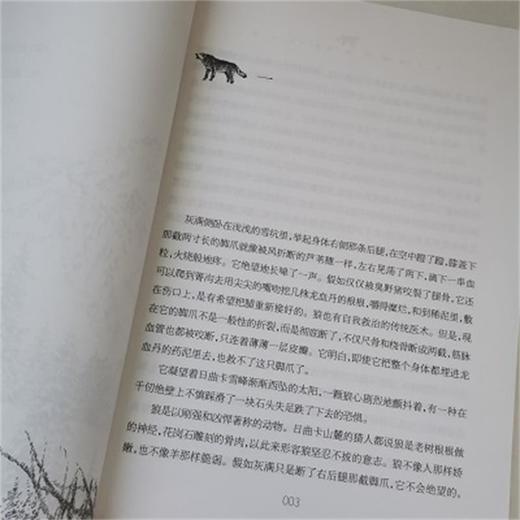 沈石溪臻奇动物小说文集/力量卷 残狼灰满 犬王麦穗 商品图3