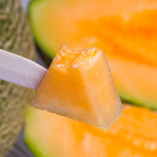 新疆火焰哈密瓜西州蜜25号(包邮到家)