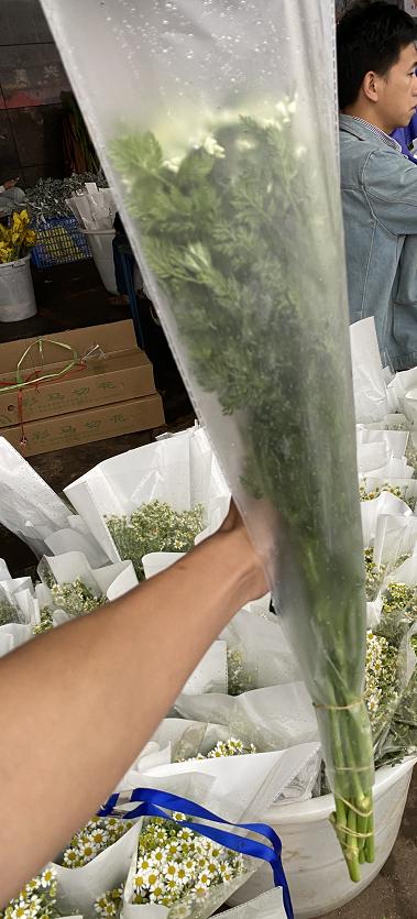 配花 | 白飞香 商品图1