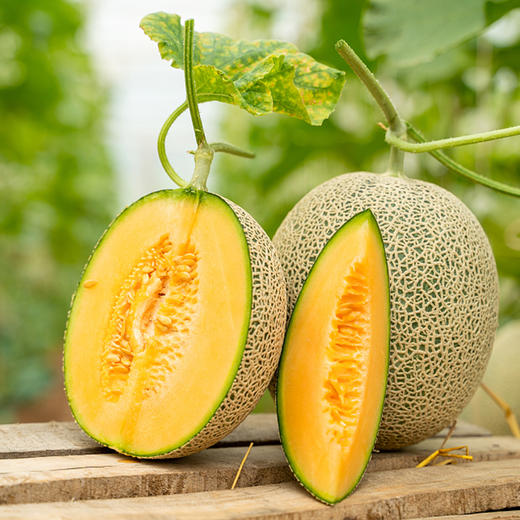 【新品特惠】新疆吐鲁番贵妃蜜 爆甜多汁 甜过初恋～ 037