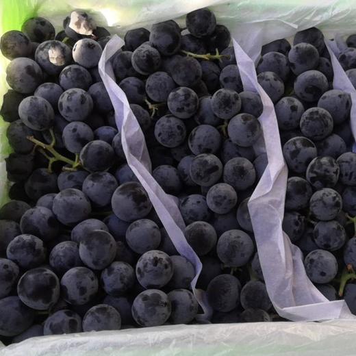 新疆【夏黑葡萄】 - 樊小果