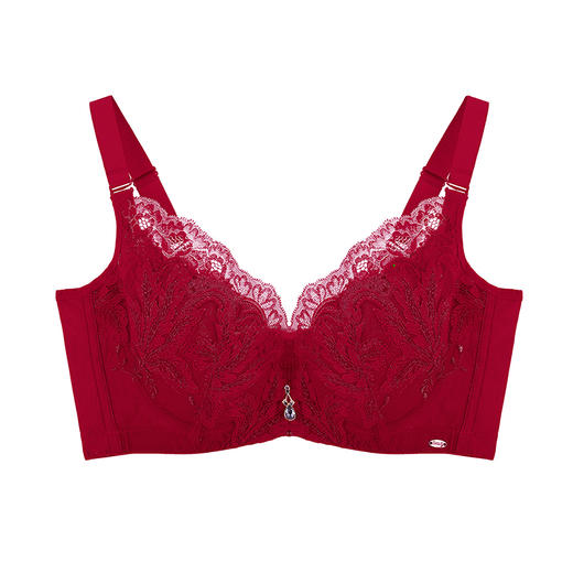 皇家丽美大胸显小薄款内衣女蕾丝记忆钛圈上托防下垂WJ023-1 商品图2