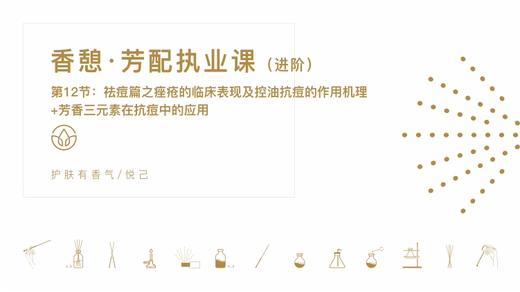 第12节：祛痘篇之痤疮临床表现及控油抗痘作用机理+芳香三元素在抗痘中的应用（上） 商品图0