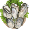 生蚝 商品缩略图0