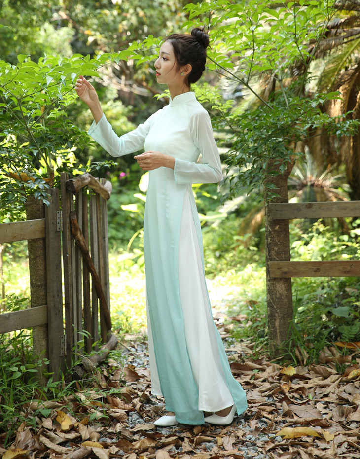 新款越式奥黛改良长款旗袍裙lswjl1801